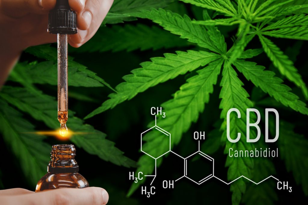 CBD OIL